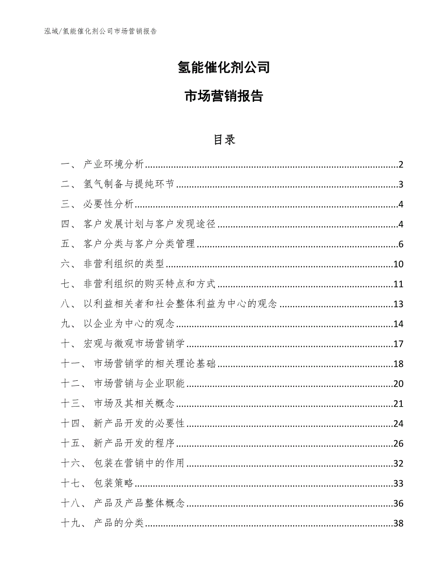 氢能催化剂公司市场营销报告（参考）_第1页