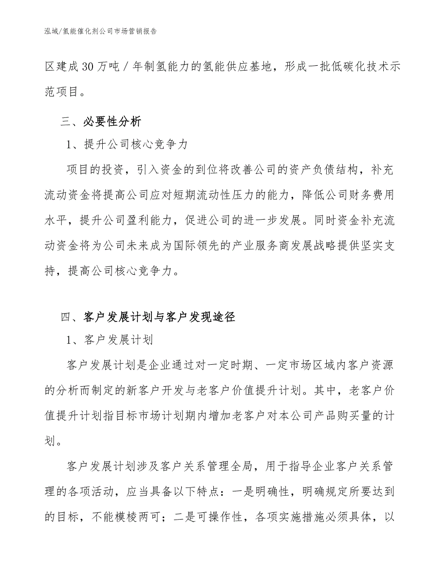 氢能催化剂公司市场营销报告（参考）_第4页