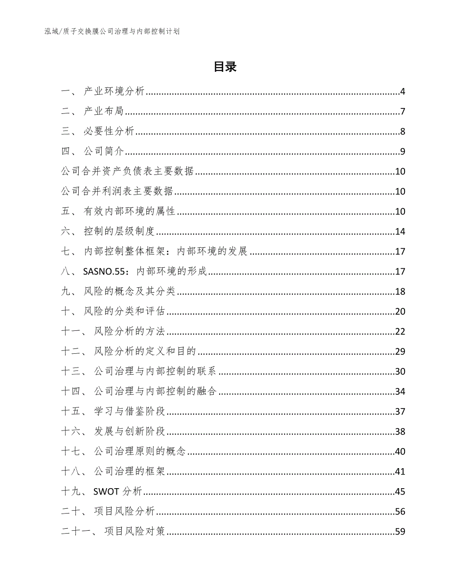 质子交换膜公司治理与内部控制计划_第2页