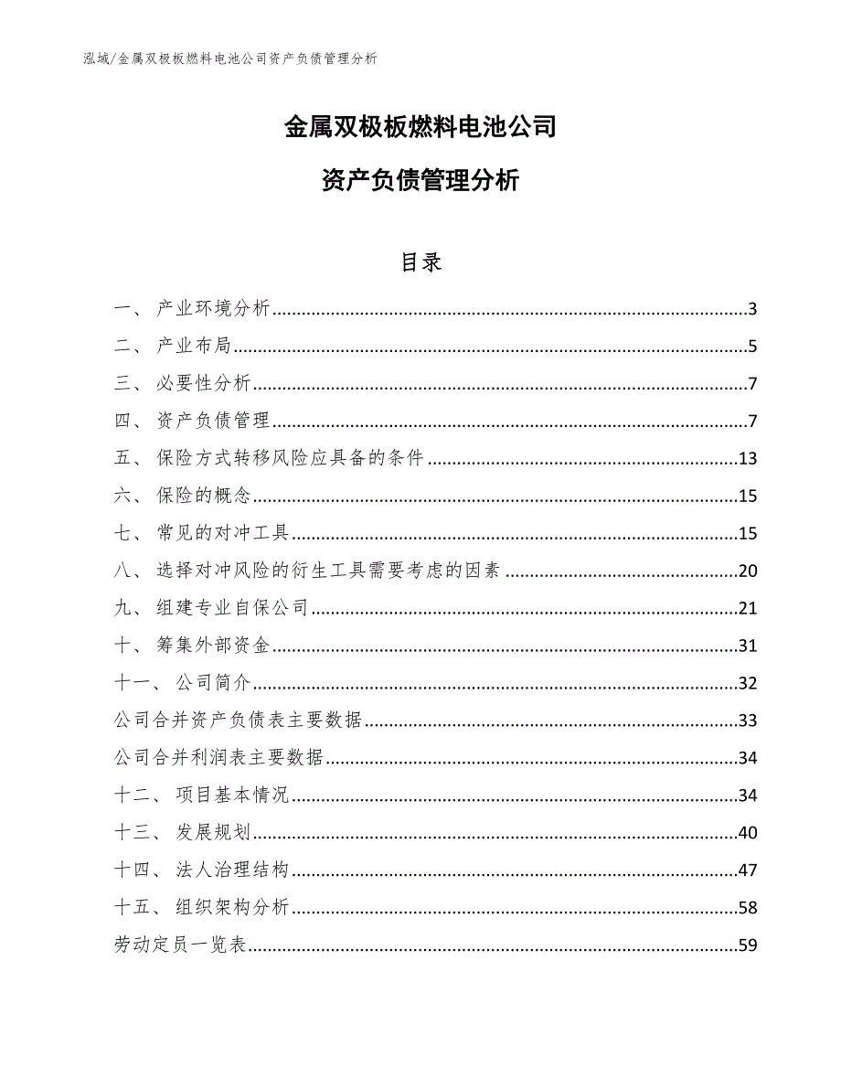 金属双极板燃料电池公司资产负债管理分析_范文_第1页