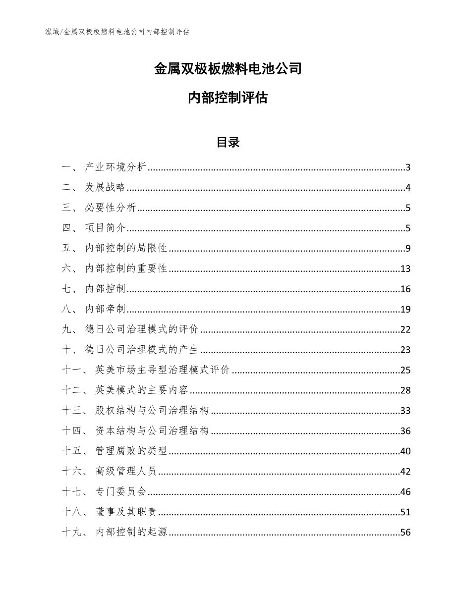 金属双极板燃料电池公司内部控制评估_参考_第1页