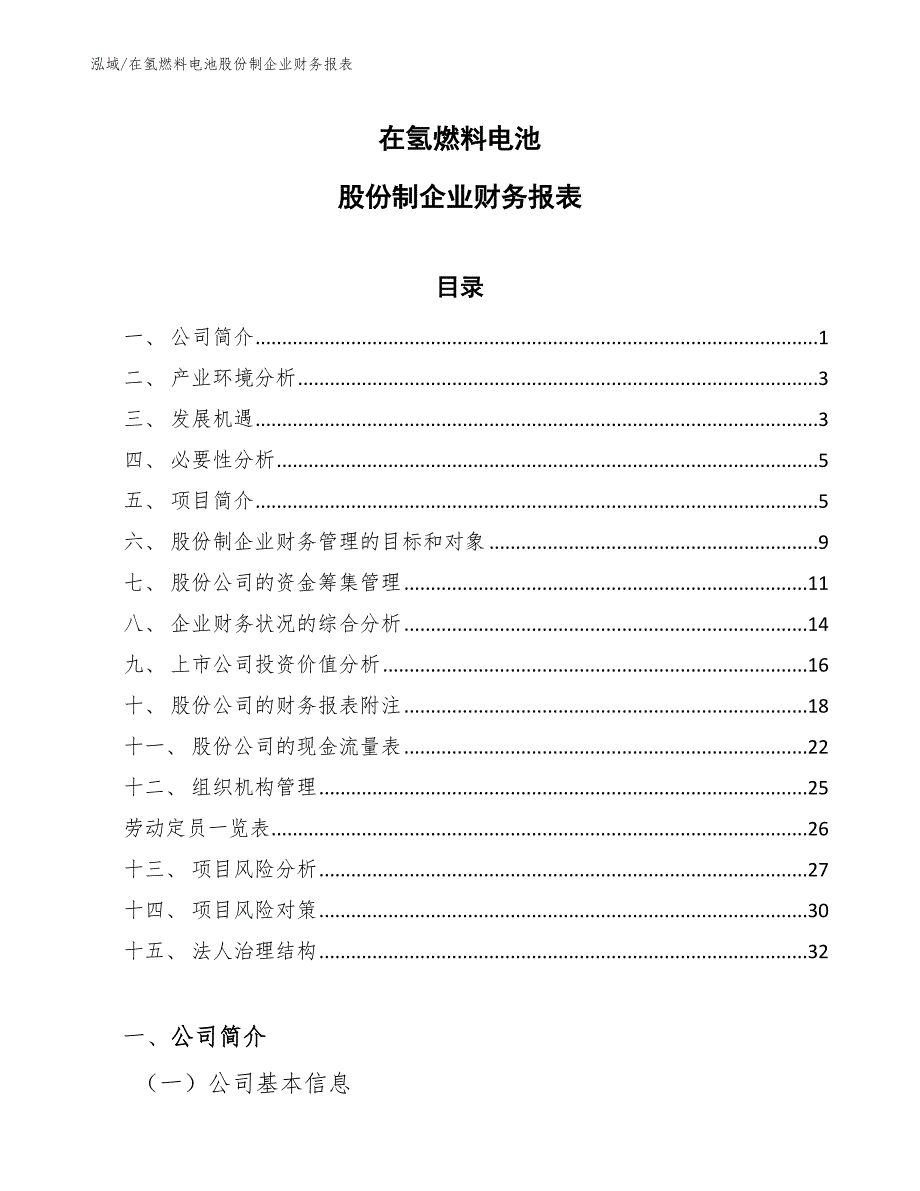 在氢燃料电池股份制企业财务报表_范文_第1页