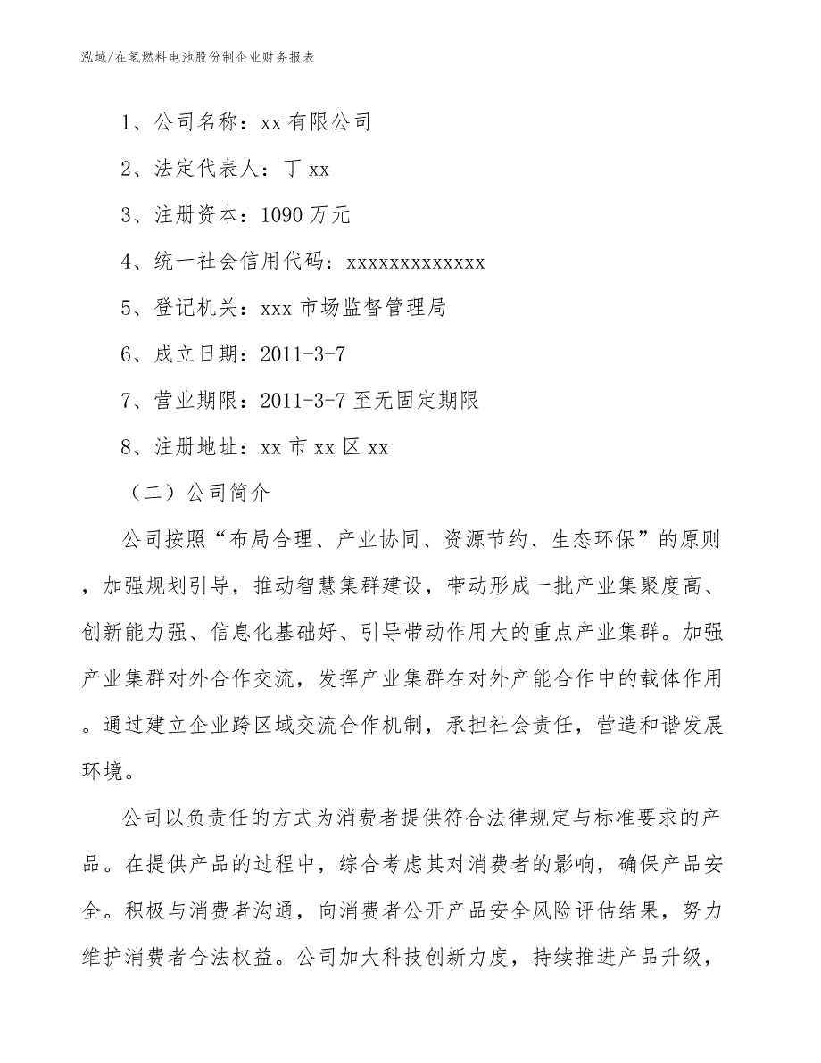 在氢燃料电池股份制企业财务报表_范文_第2页