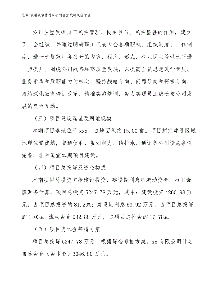 软磁铁氧体材料公司企业战略风险管理_范文_第4页