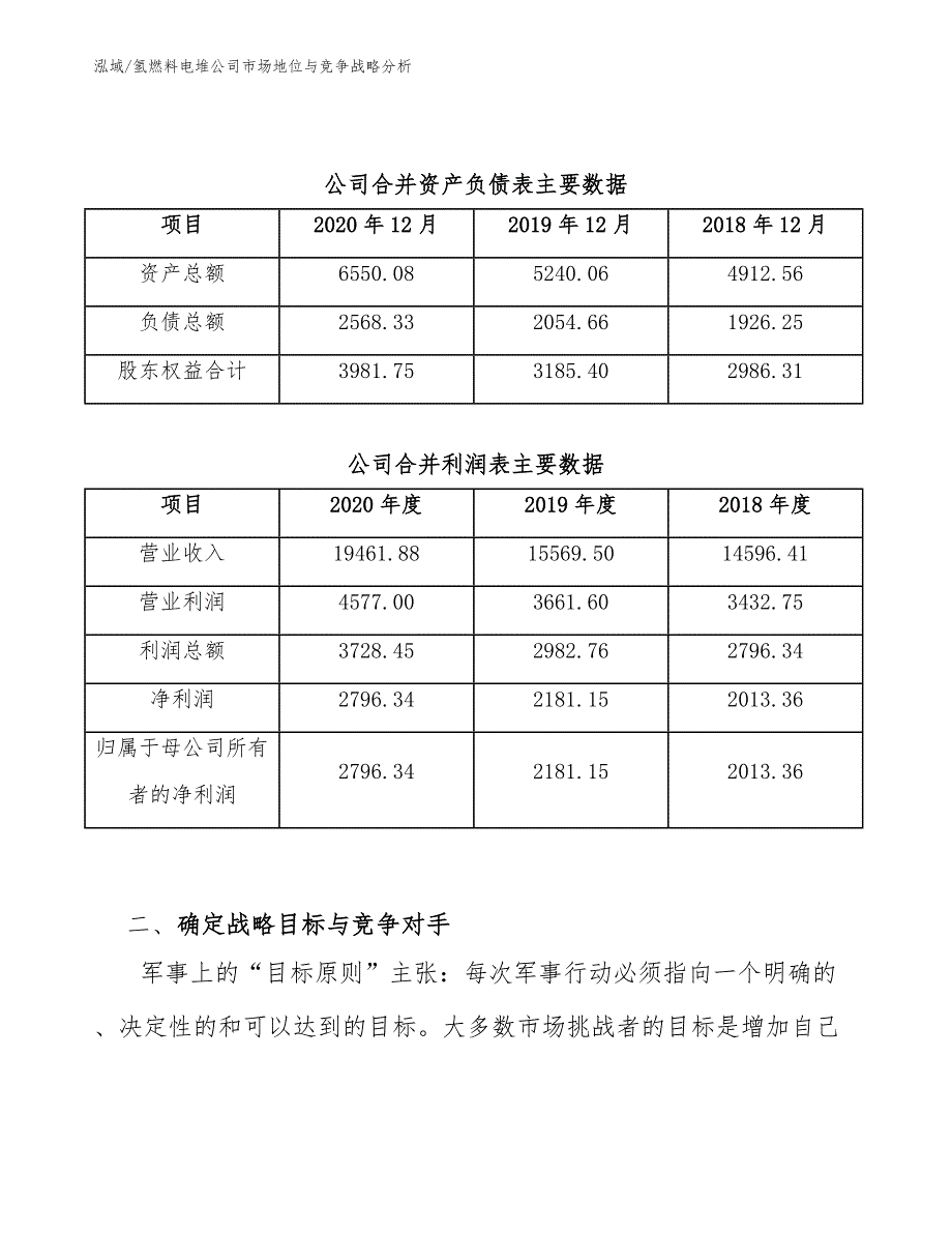 氢燃料电堆公司市场地位与竞争战略分析_第3页