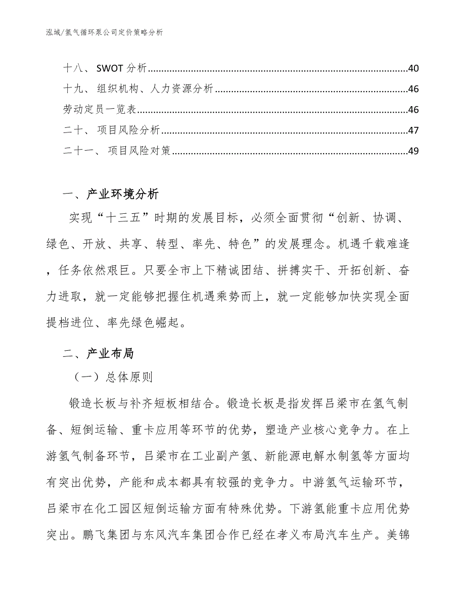 氢气循环泵公司定价策略分析【参考】_第2页