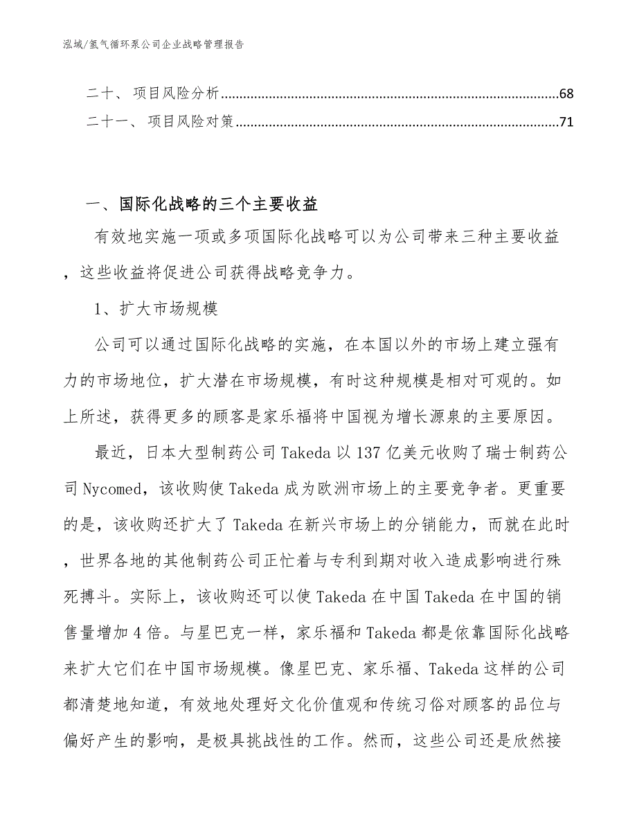 氢气循环泵公司企业战略管理报告_第3页