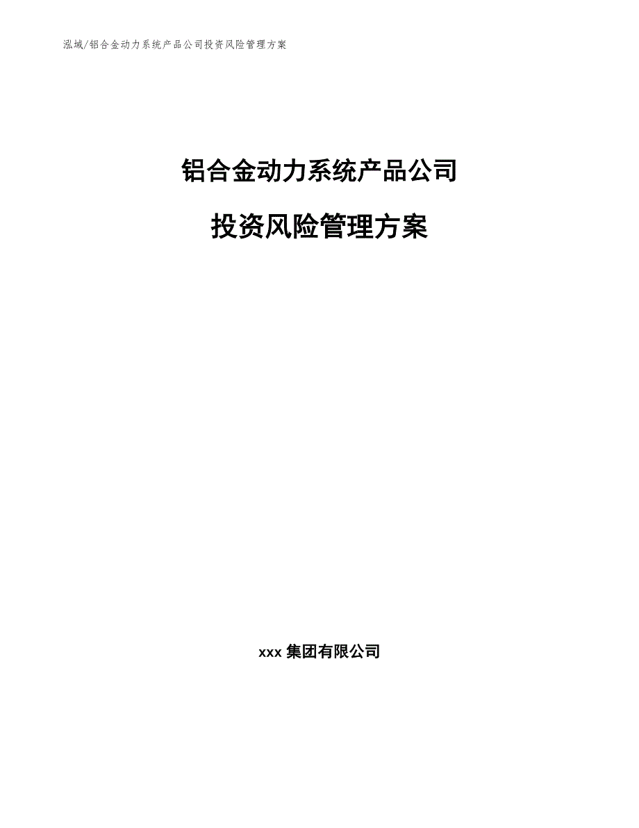 铝合金动力系统产品公司投资风险管理方案_第1页