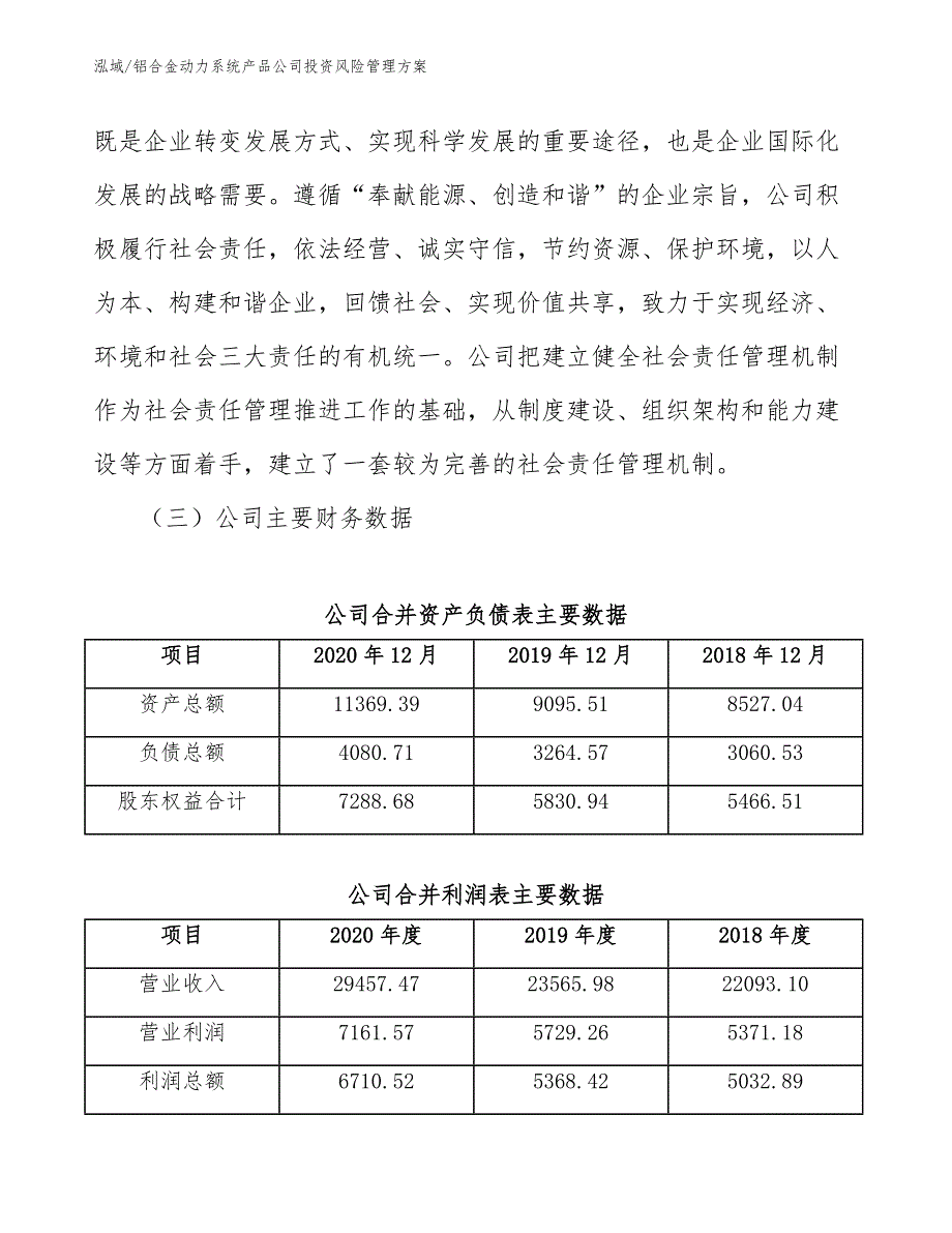 铝合金动力系统产品公司投资风险管理方案_第4页