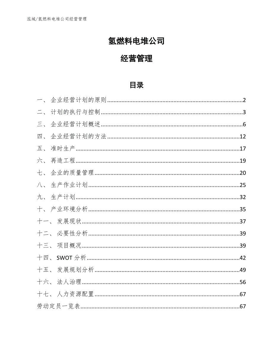 氢燃料电堆公司经营管理_第1页