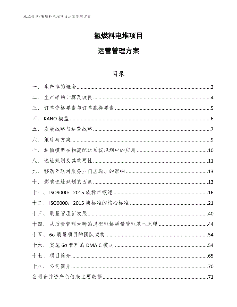 氢燃料电堆项目运营管理方案_第1页