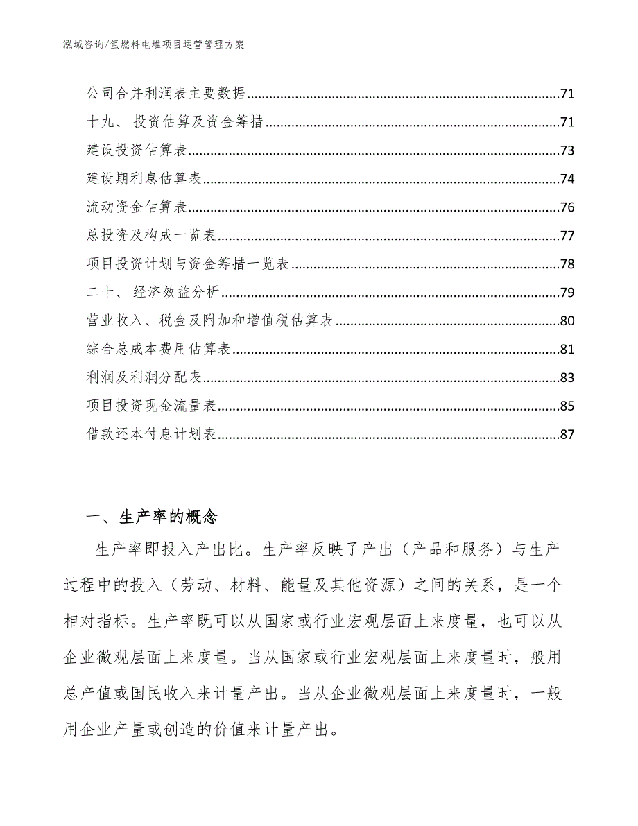 氢燃料电堆项目运营管理方案_第2页