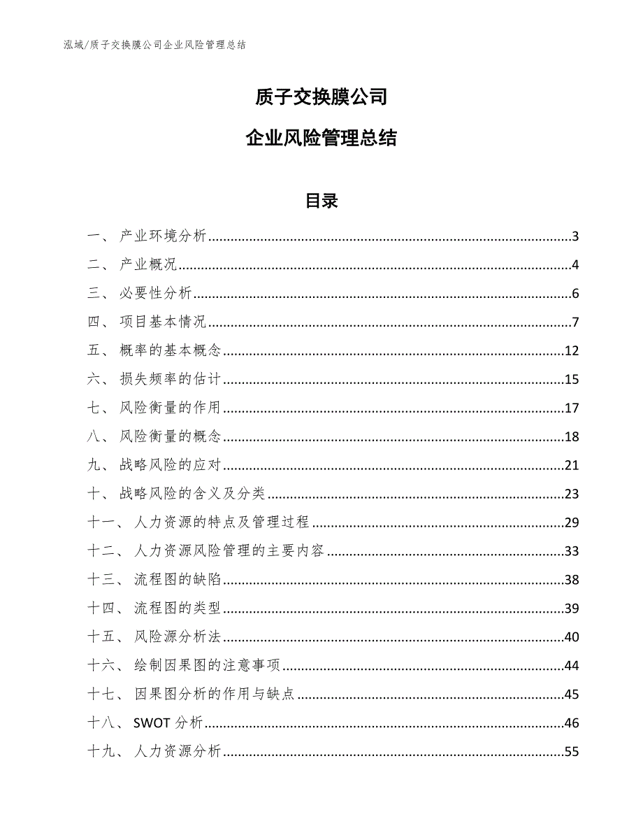 质子交换膜公司企业风险管理总结_第1页