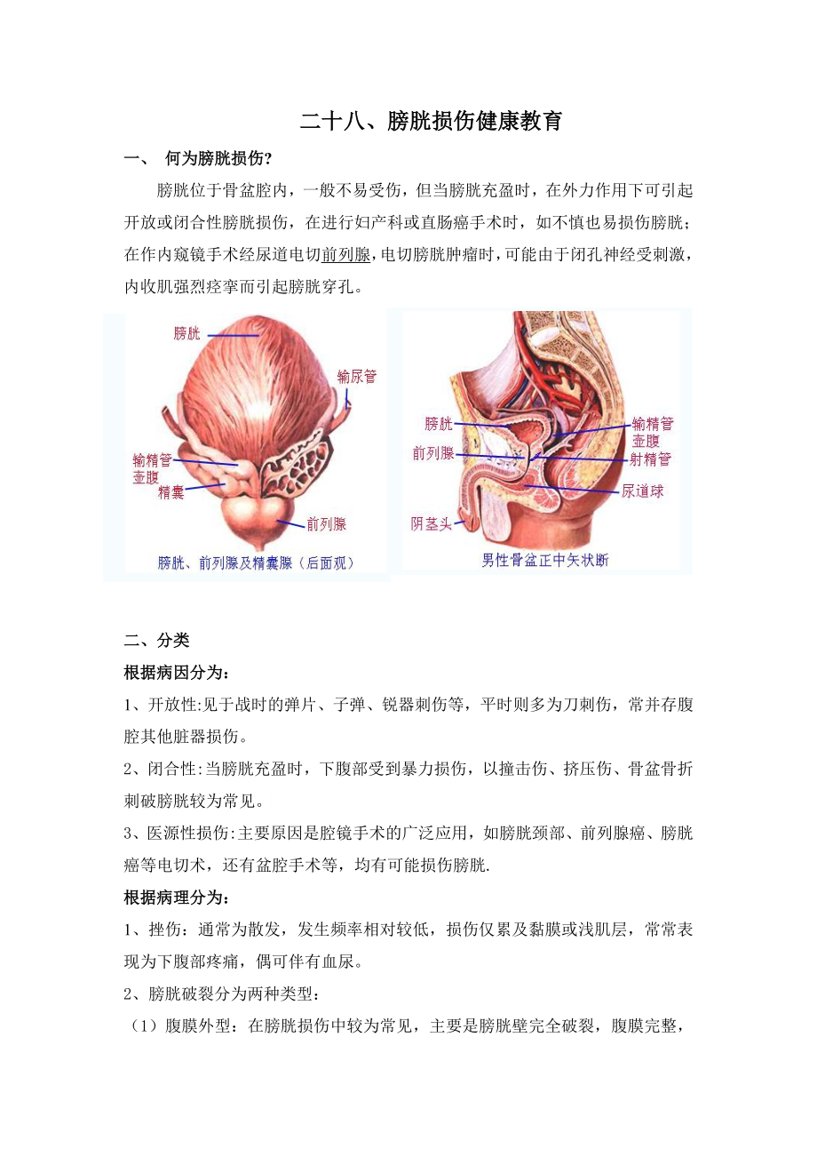 泌尿外科健康教育28膀胱损伤_第1页