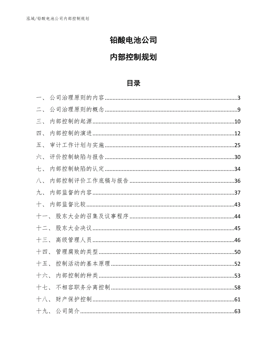 铅酸电池公司内部控制规划_第1页