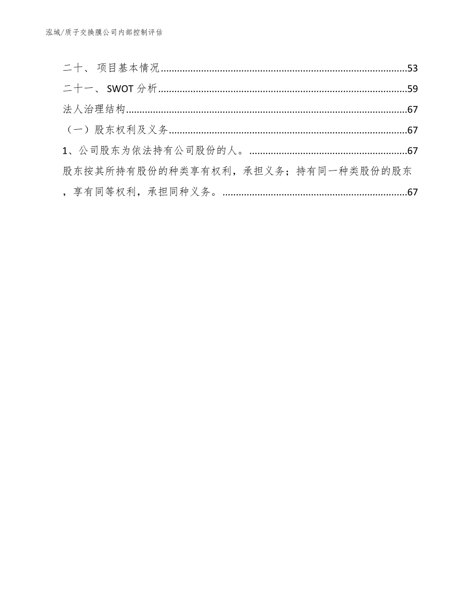 质子交换膜公司内部控制评估_第2页