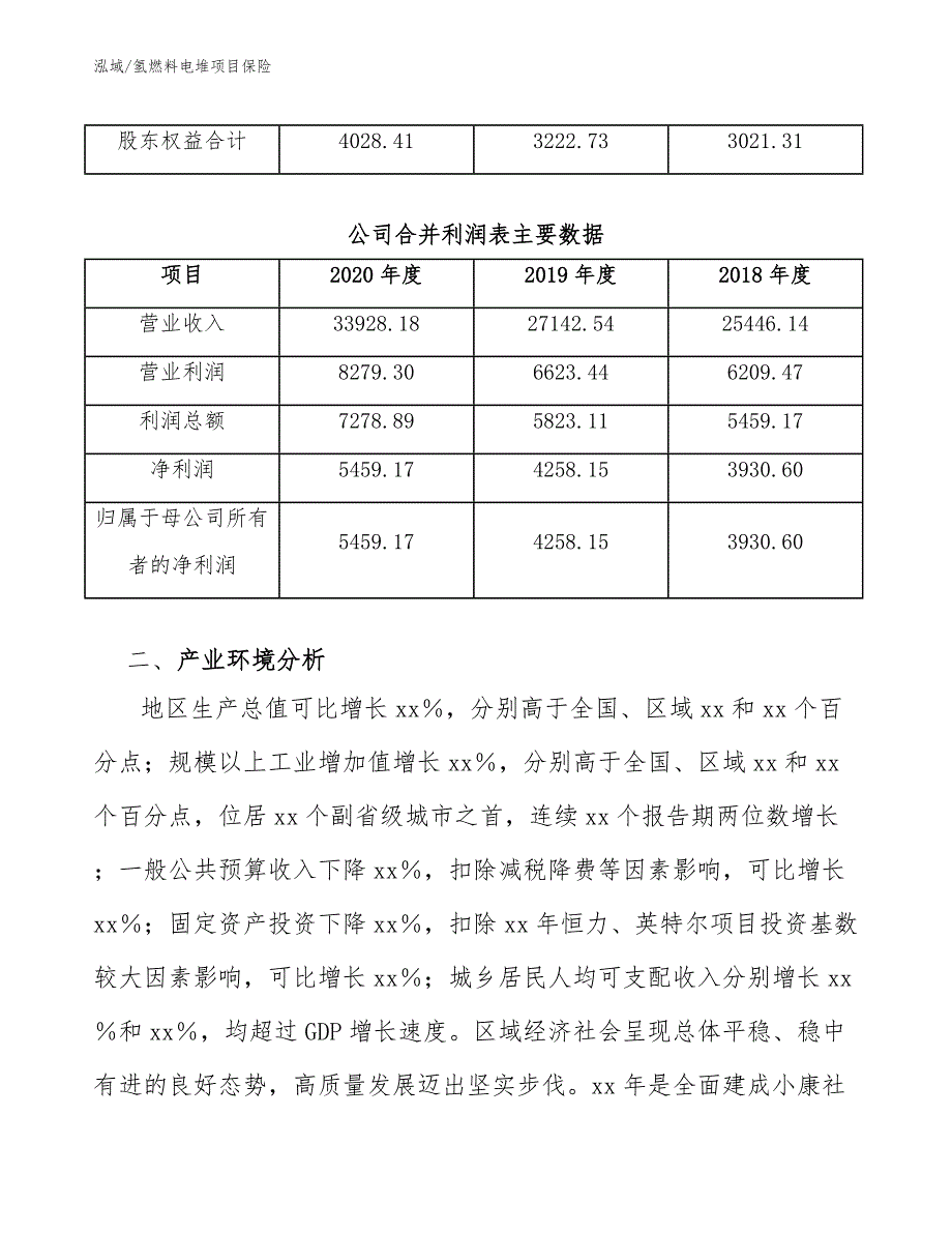 氢燃料电堆项目保险【参考】_第4页