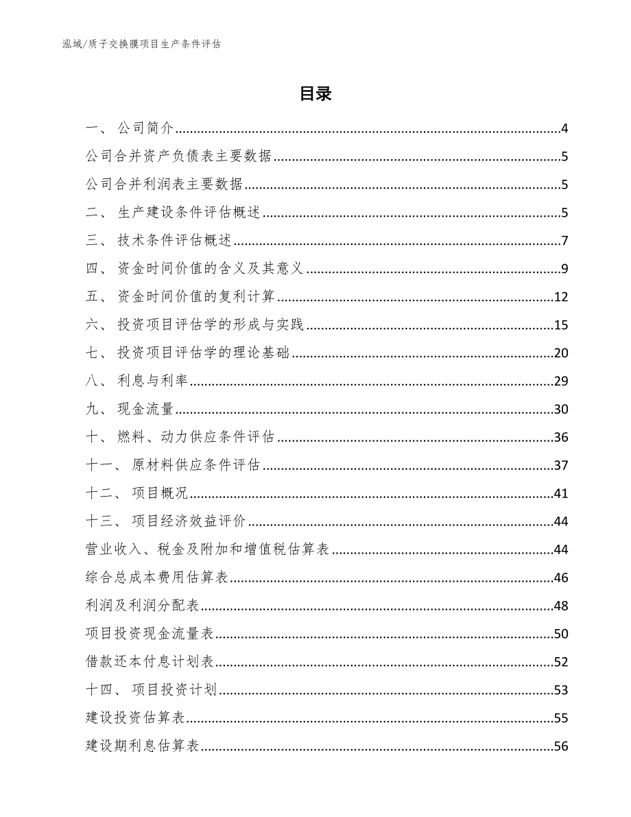 质子交换膜项目生产条件评估【范文】_第2页