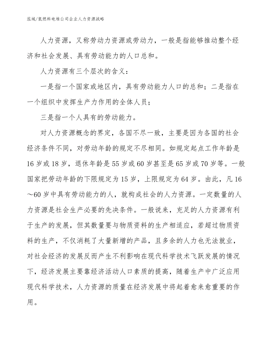 氢燃料电堆公司企业人力资源战略【范文】_第2页