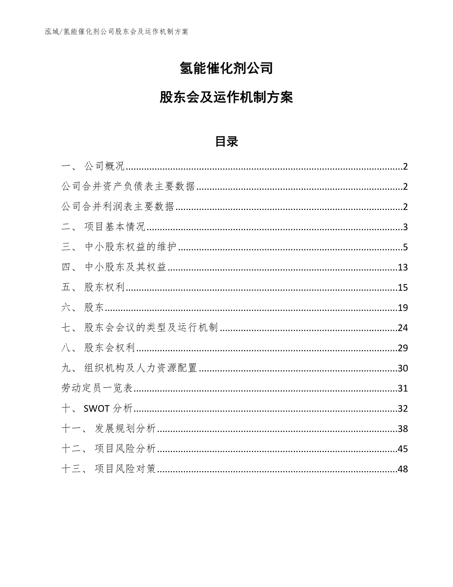 氢能催化剂公司股东会及运作机制方案_第1页