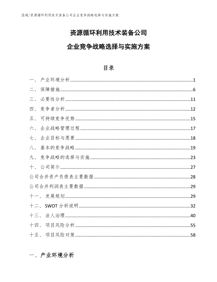 资源循环利用技术装备公司企业竞争战略选择与实施方案（范文）_第1页