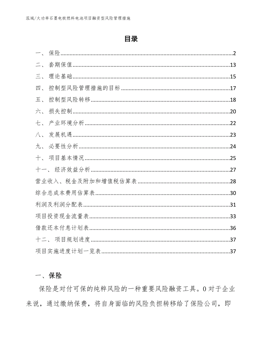 大功率石墨电极燃料电池项目融资型风险管理措施（参考）_第2页