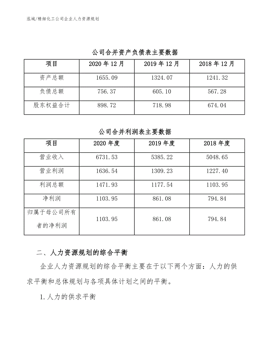 精细化工公司企业人力资源规划（范文）_第3页