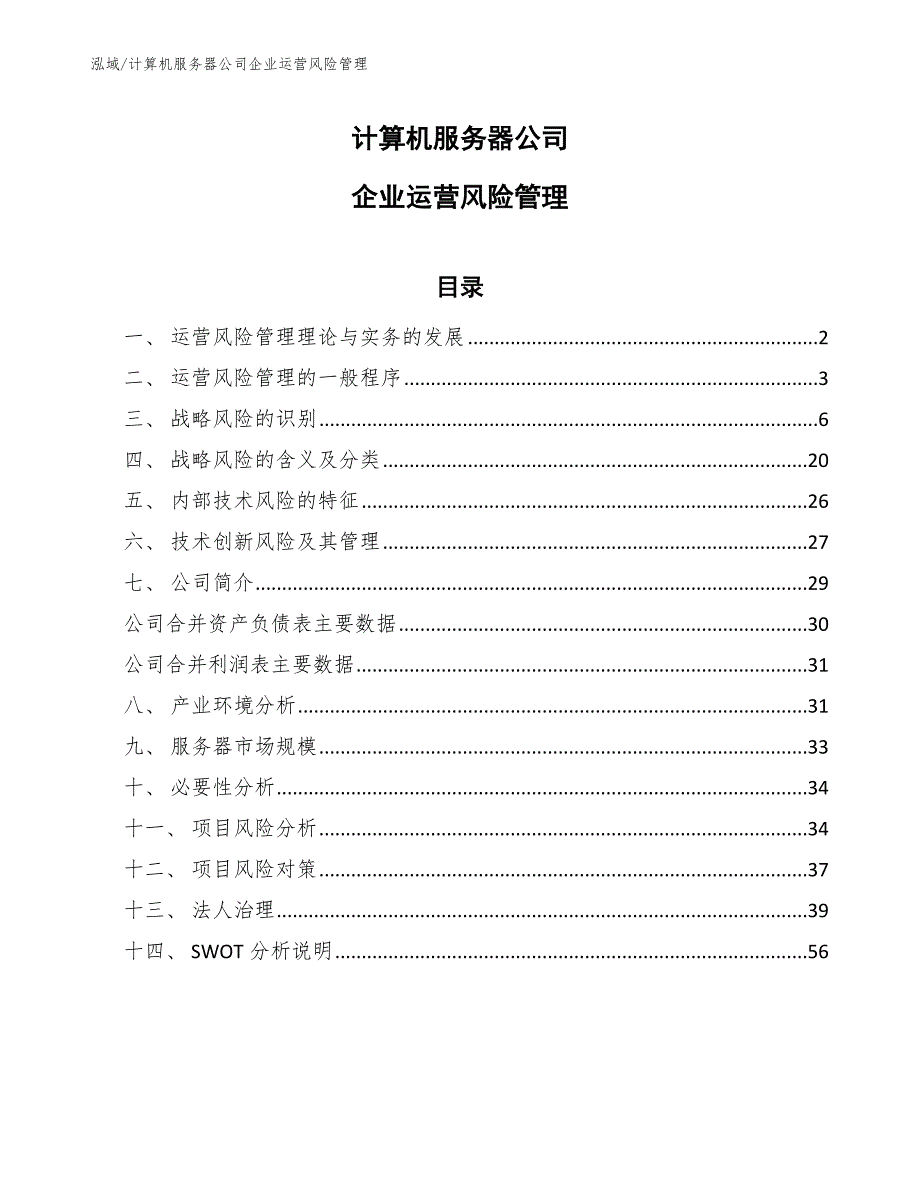 计算机服务器公司企业运营风险管理【参考】_第1页