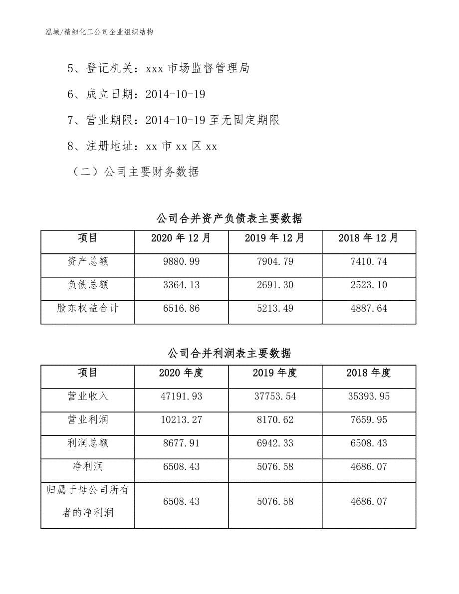 精细化工公司企业组织结构（参考）_第5页