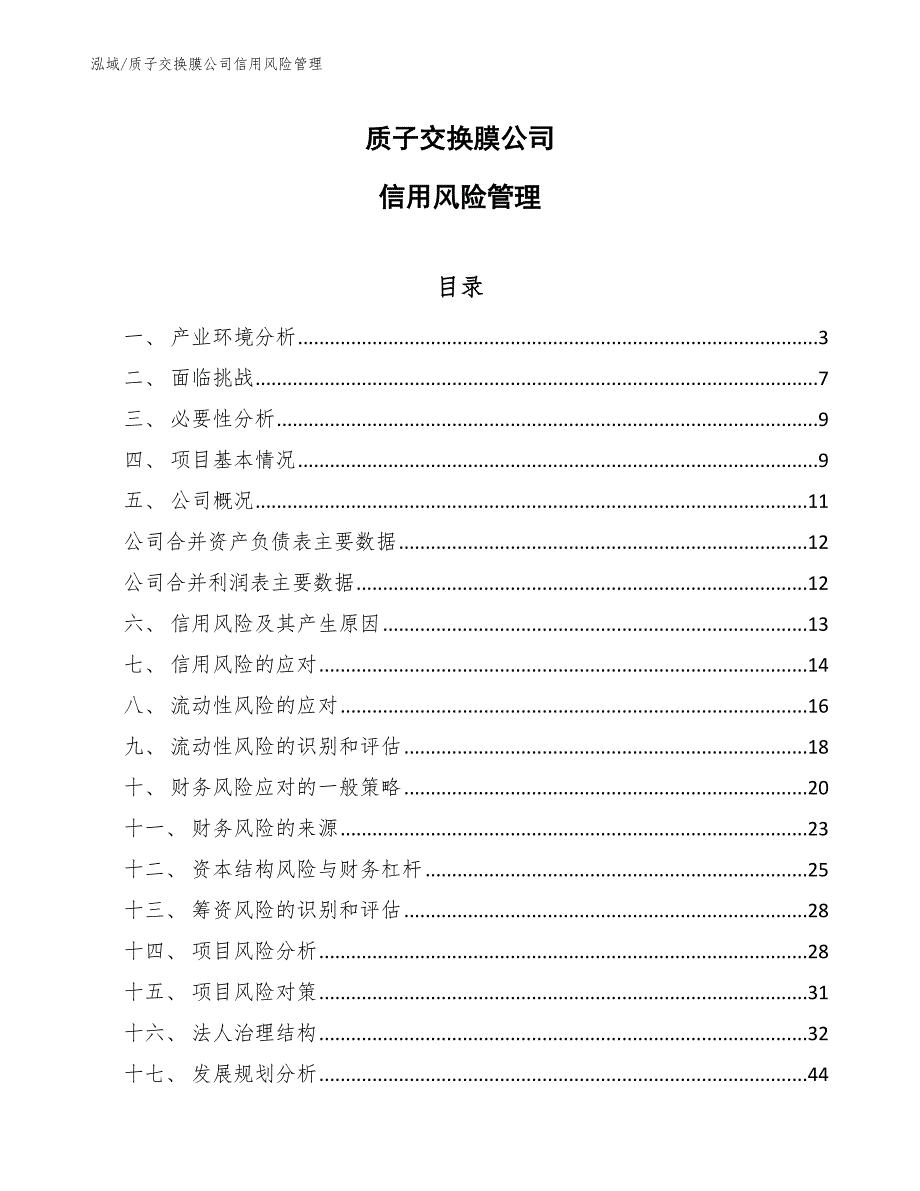 质子交换膜公司信用风险管理【参考】_第1页