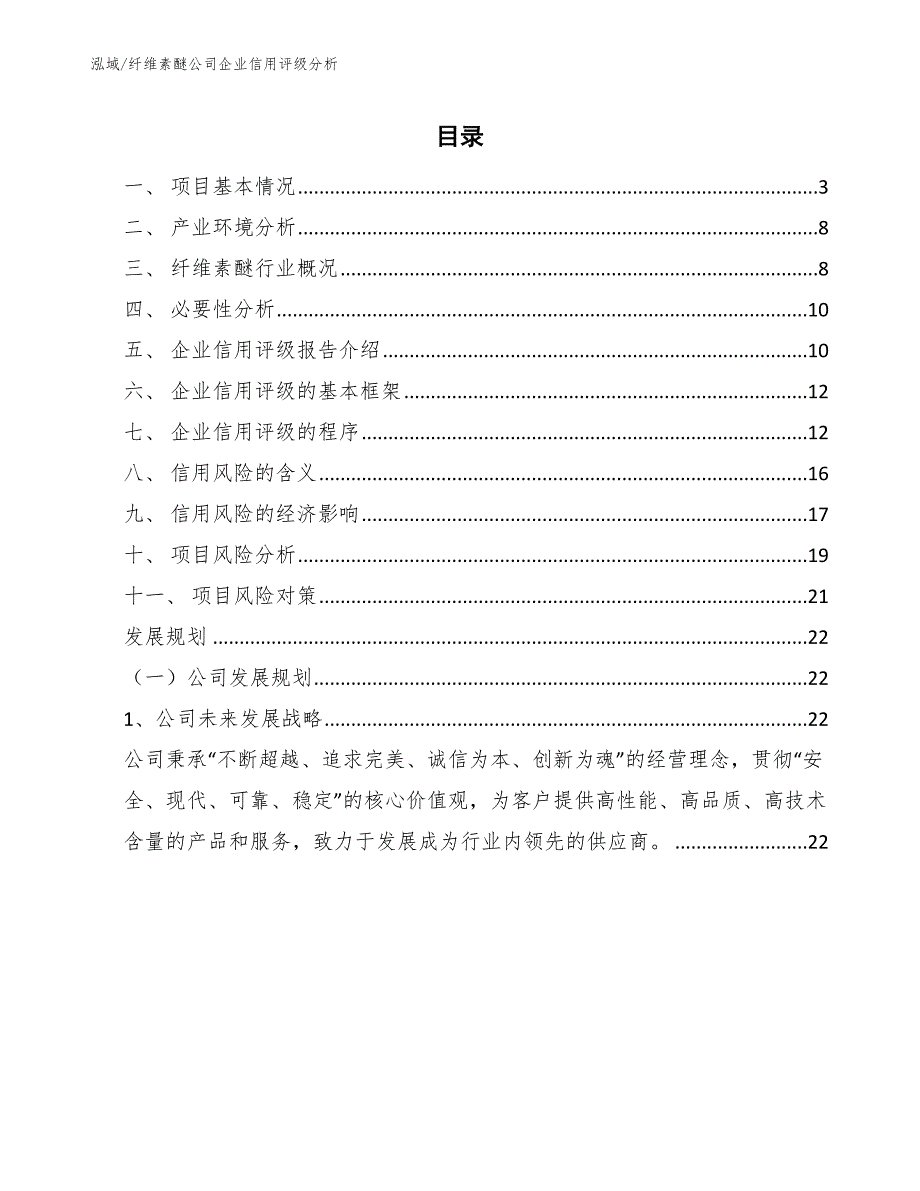 纤维素醚公司企业信用评级分析_第2页