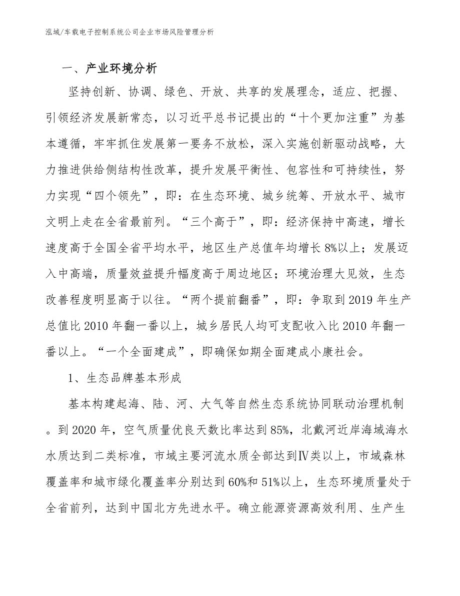 车载电子控制系统公司企业市场风险管理分析_第3页