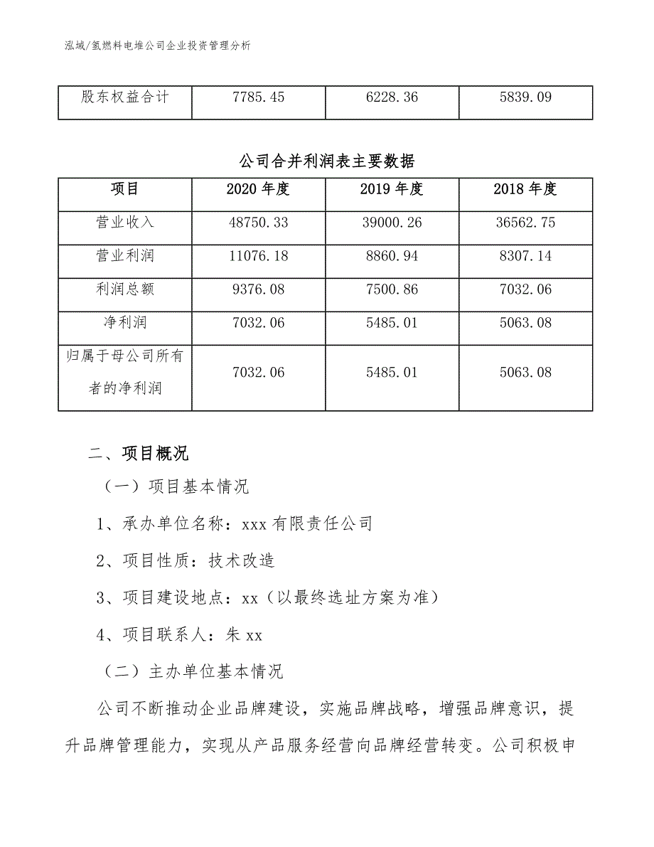 氢燃料电堆公司企业投资管理分析（范文）_第4页