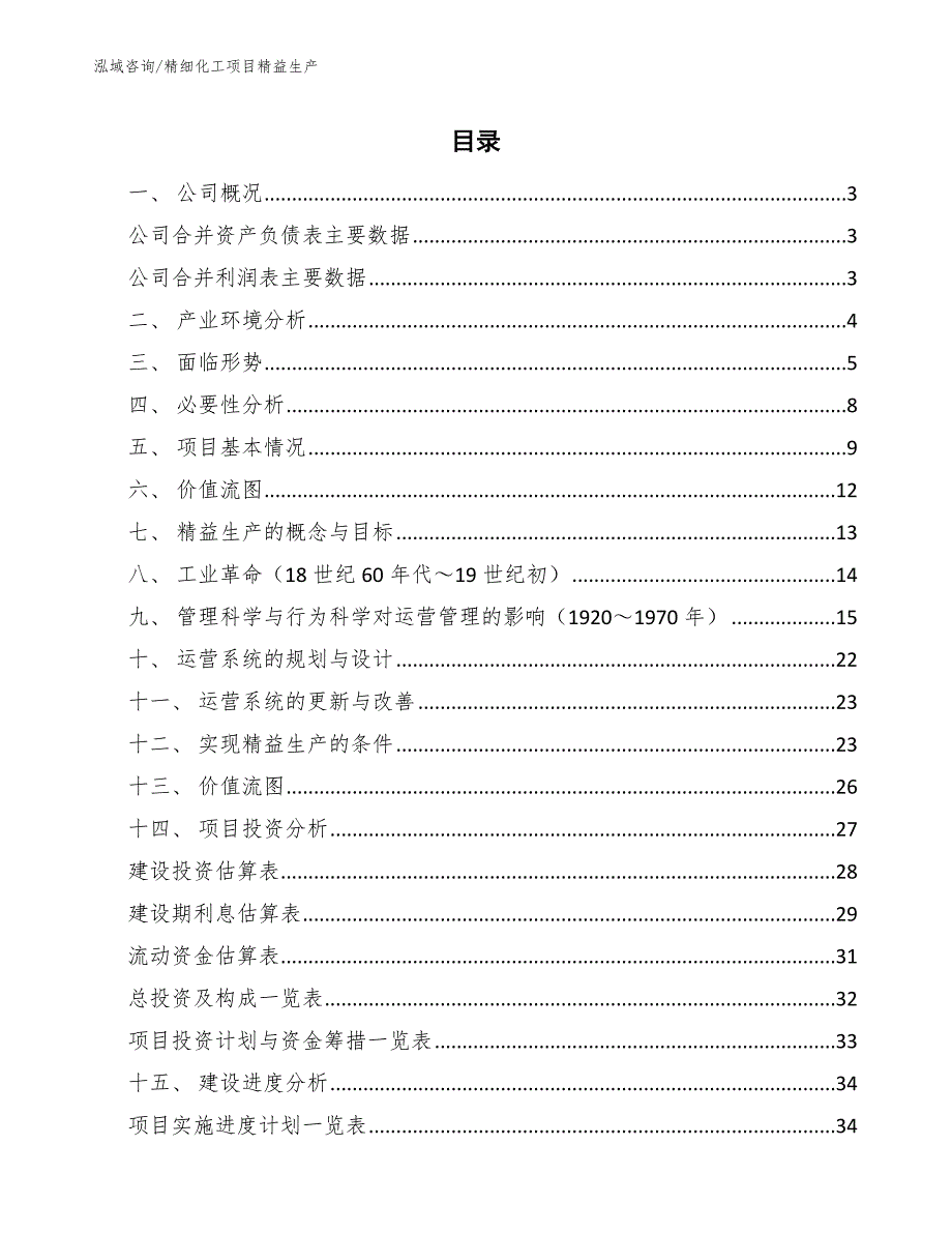 精细化工项目精益生产【范文】_第2页