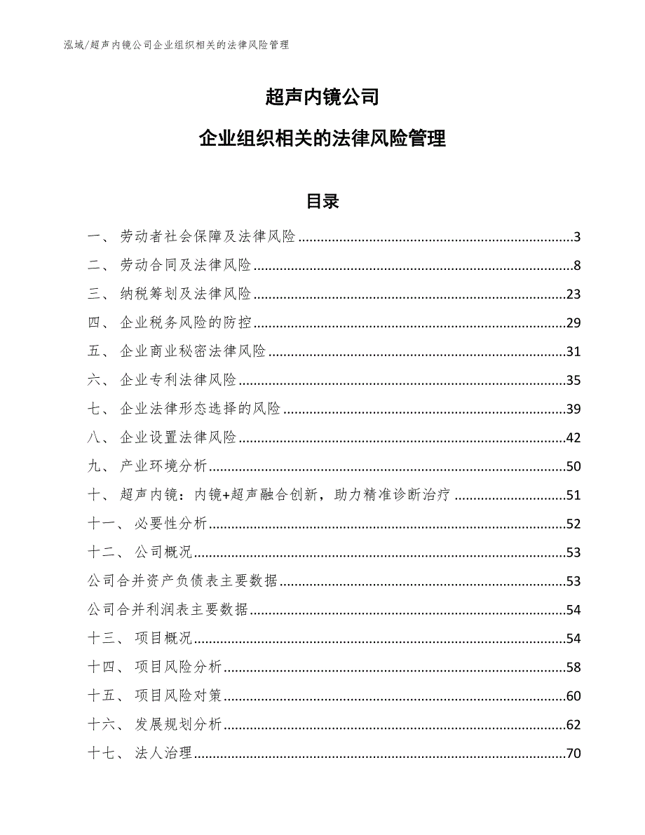 超声内镜公司企业组织相关的法律风险管理_第1页