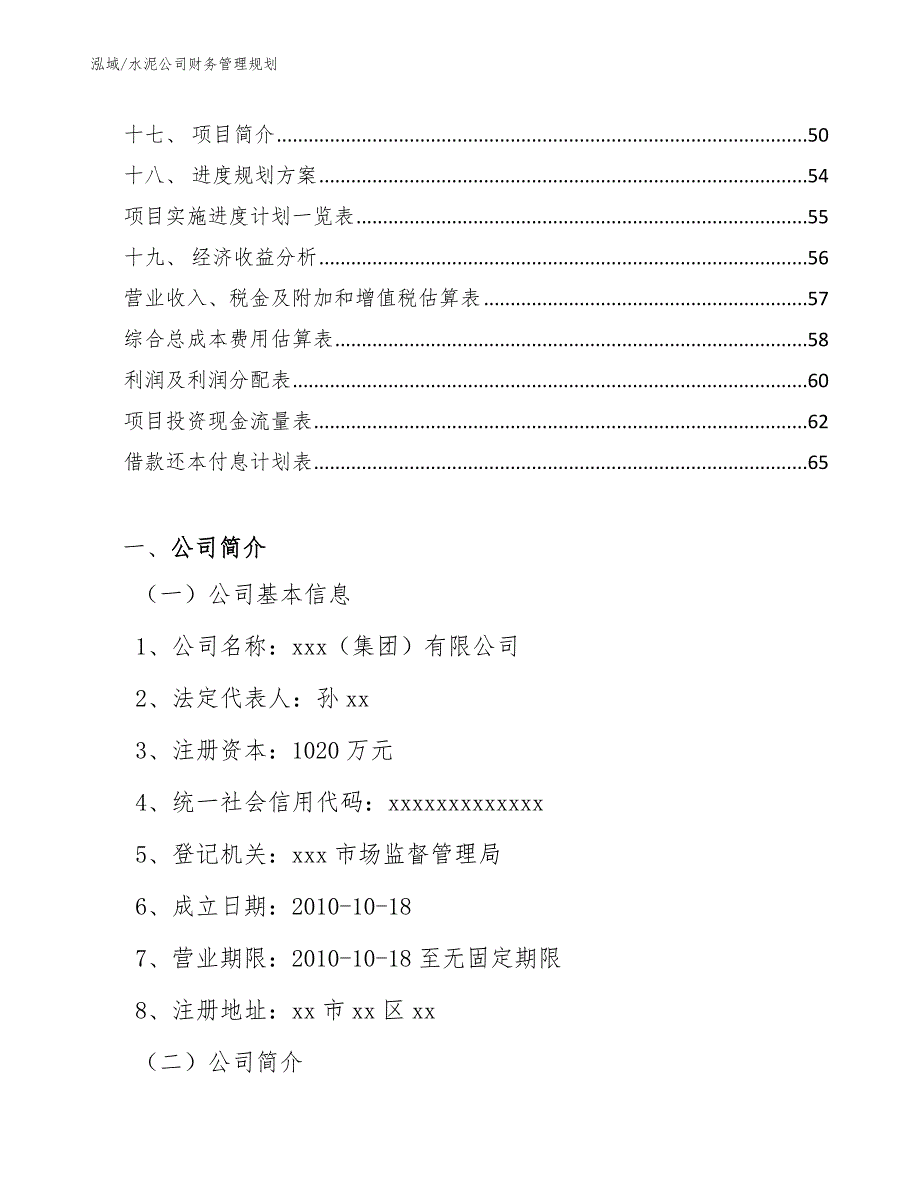 水泥公司财务管理规划_第2页