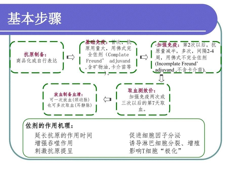 免疫学实验技术_第5页