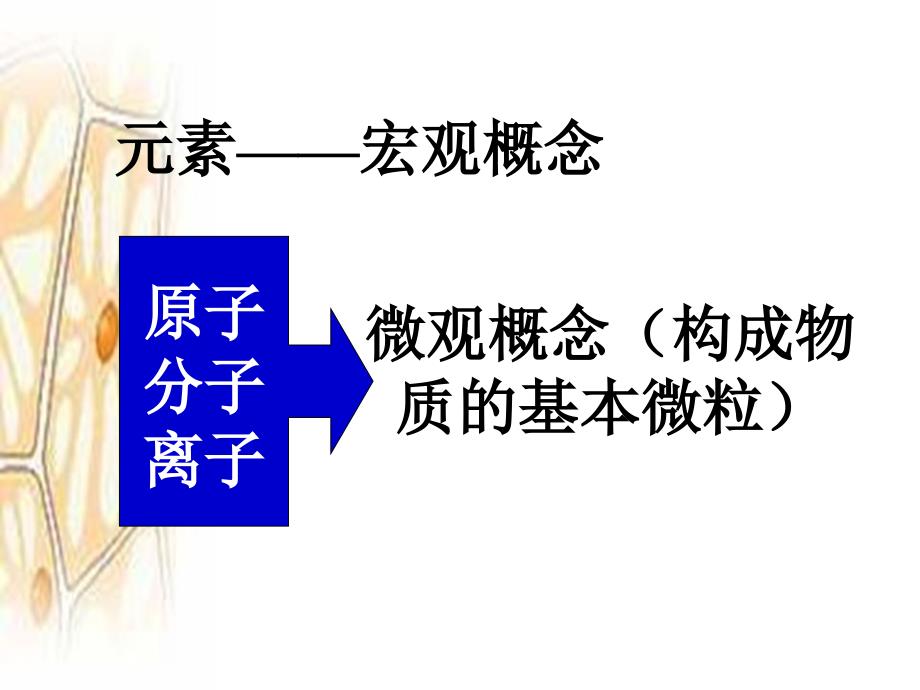 《细胞中的无机物》PPT课件.ppt_第2页