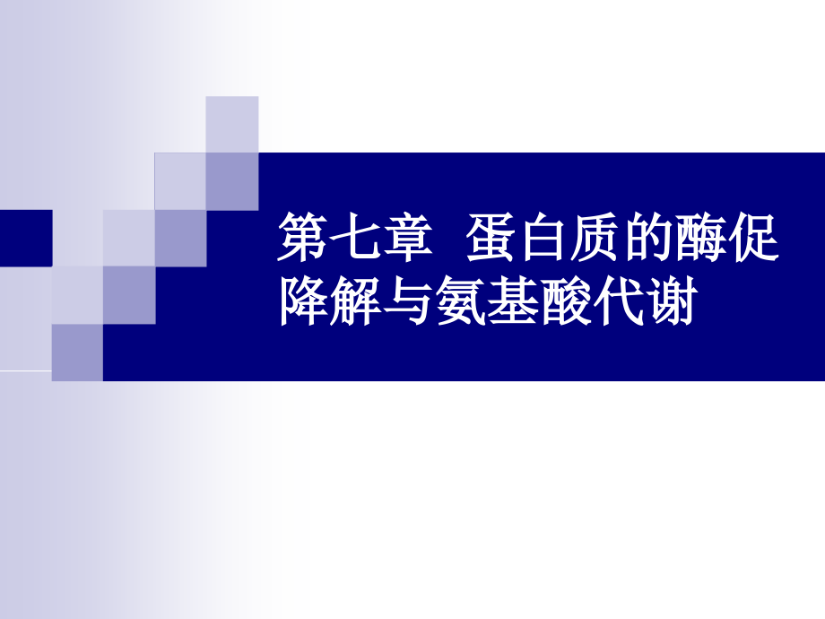 蛋白质的降解课件_第1页