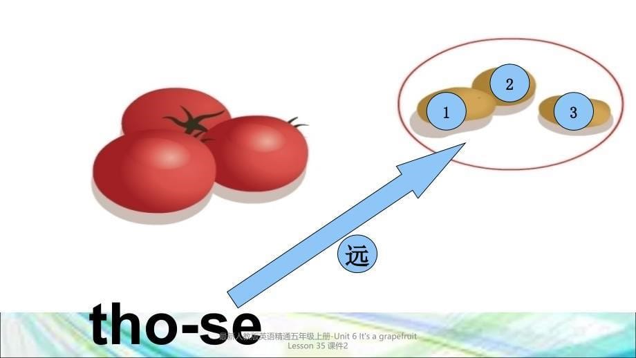 最新人教版英语精通五年级上册Unit6ItsagrapefruitLesson35课件2_第5页