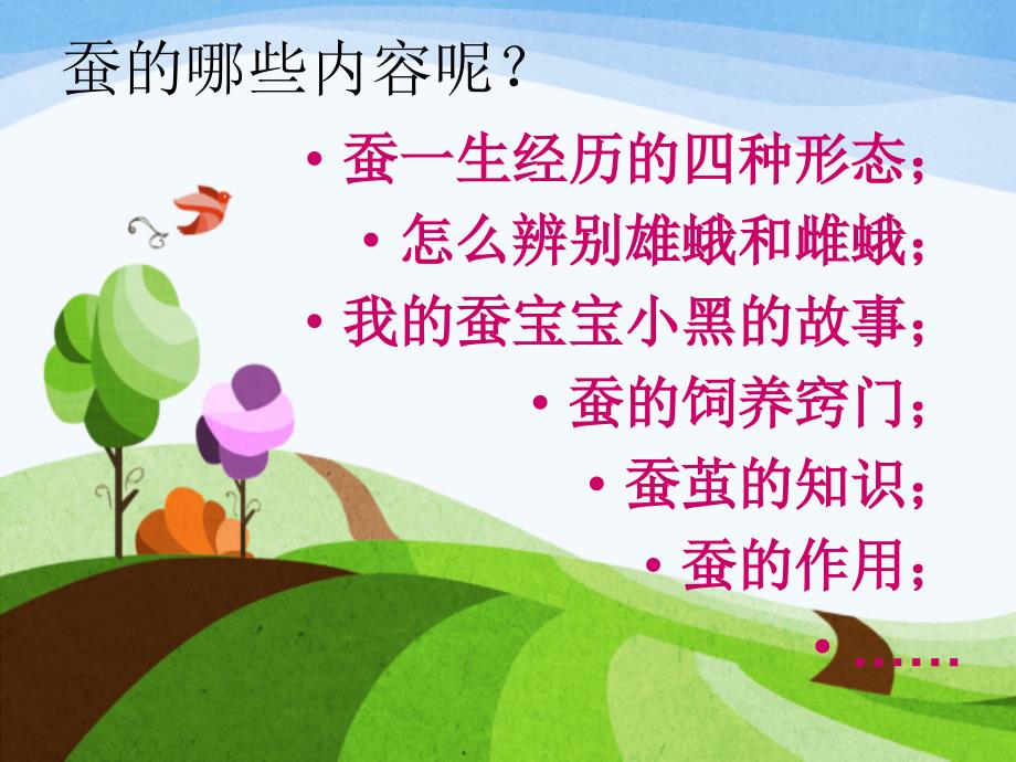 制作蚕的一生手抄报.ppt_第3页