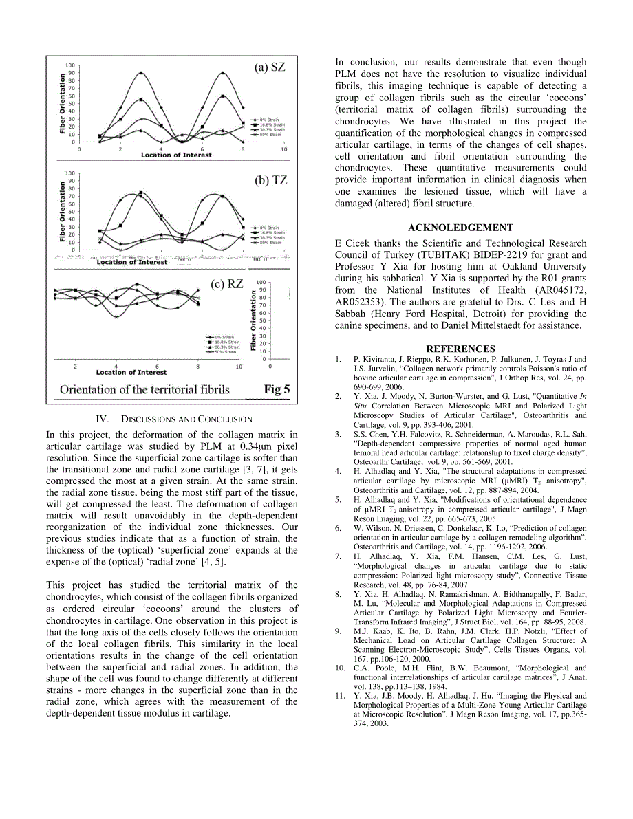 外文翻译-- Morphological changes of chondrocytes in compressed articular cartilage using polarized light microscopy_第4页