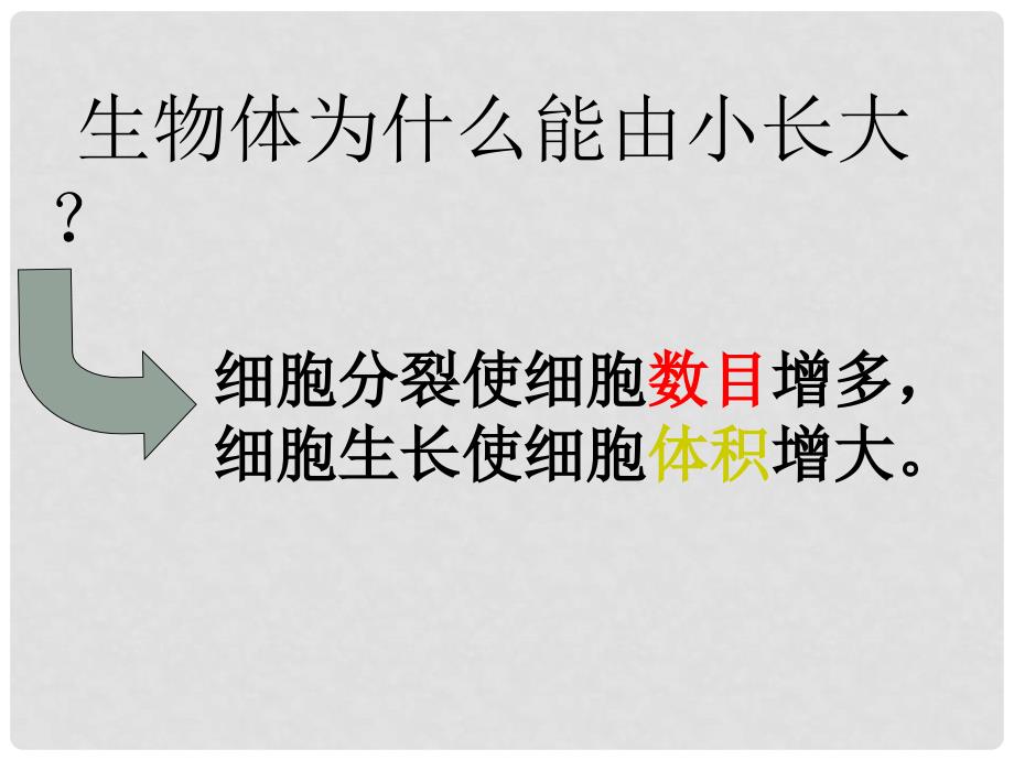 七年级生物上册 第三章 第三节 细胞分裂和分化课件 （新版）苏教版_第4页