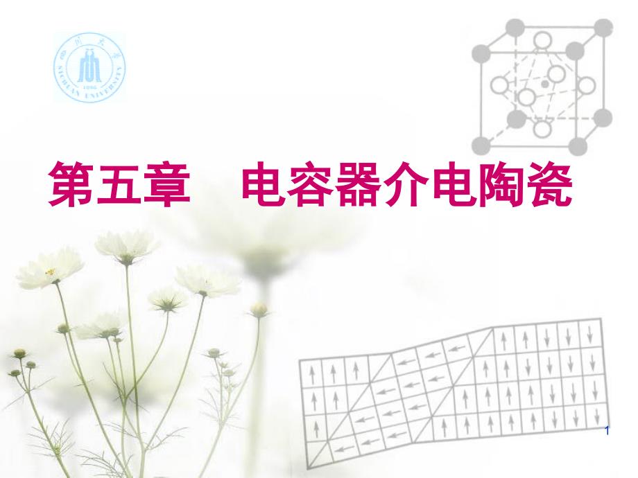 铁电介质陶瓷95讲解课件_第1页
