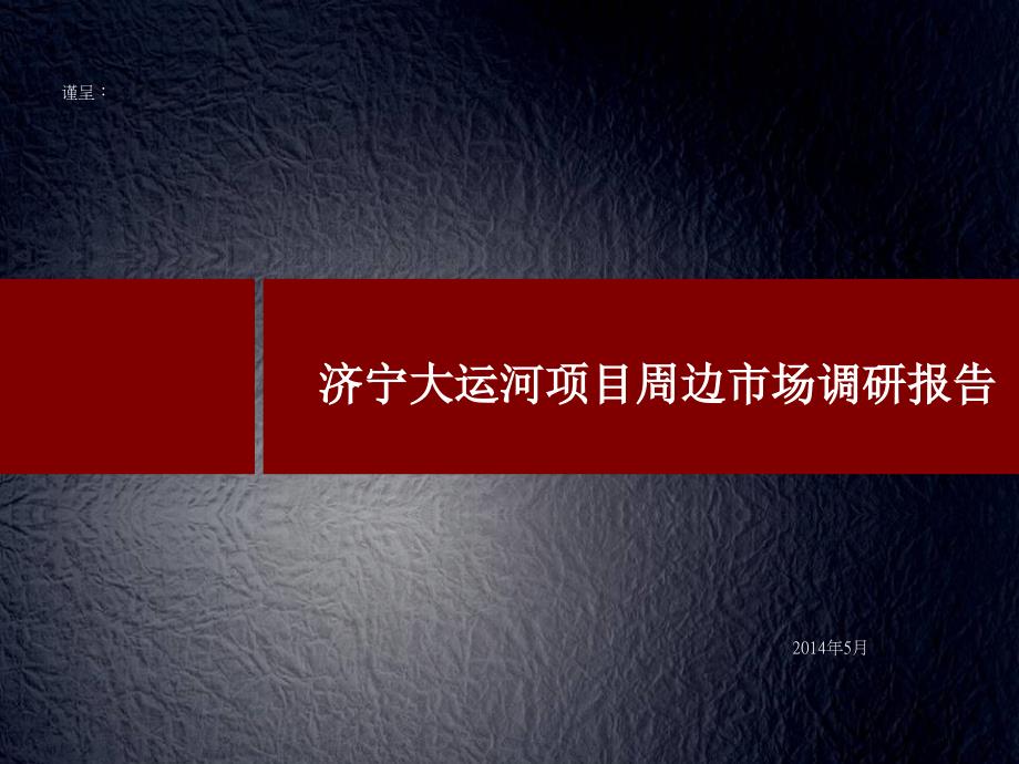 济宁大运河项目周边市场调研报告31p_第1页