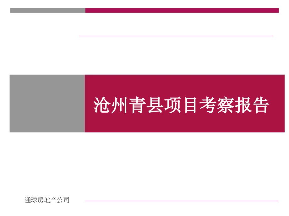 青县项目考察报告_第1页