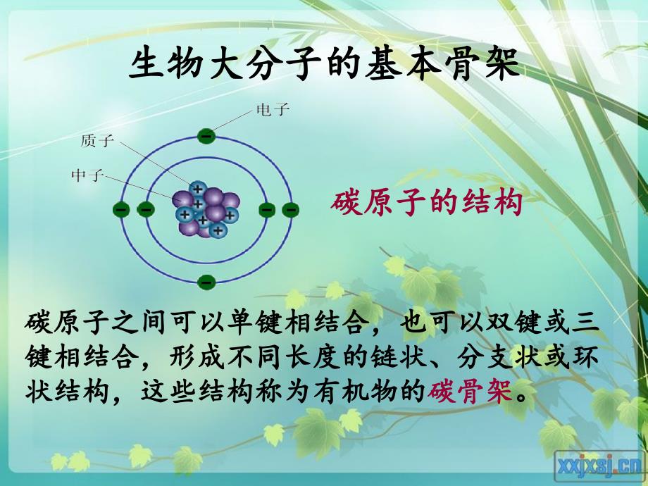 细胞中的大分子物质课件_第3页