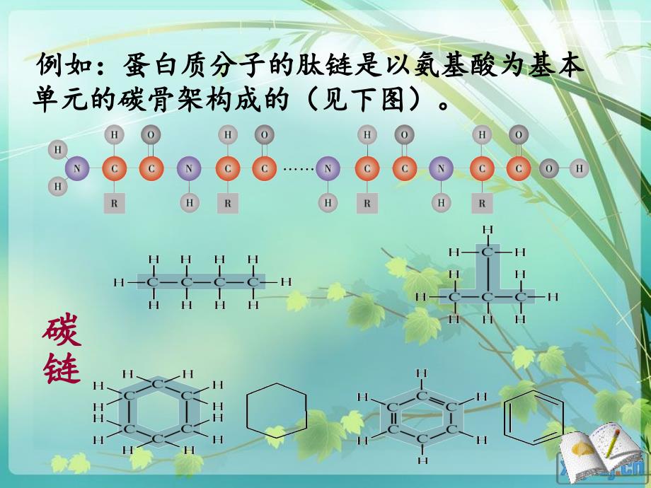 细胞中的大分子物质课件_第4页