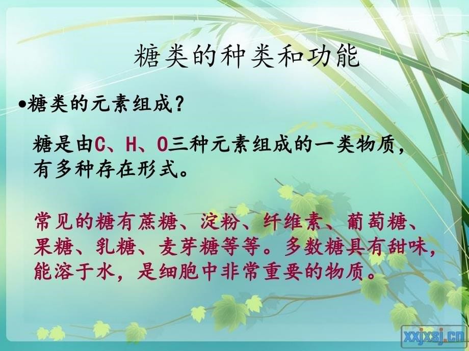 细胞中的大分子物质课件_第5页