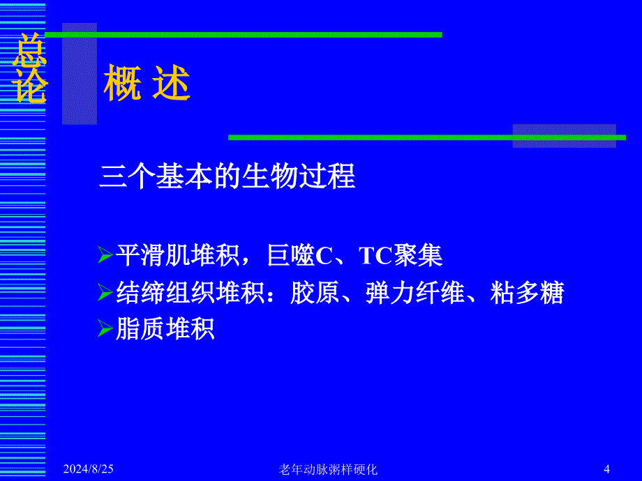 《老年动脉粥样硬化》PPT课件_第4页